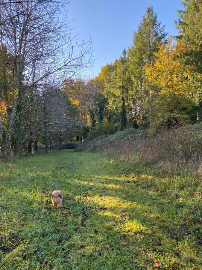Domaine Le Manoir, Gites De Charme Et De Caractere Avec Piscines Privatisees Et Spa Nordique Fossemagne Buitenkant foto