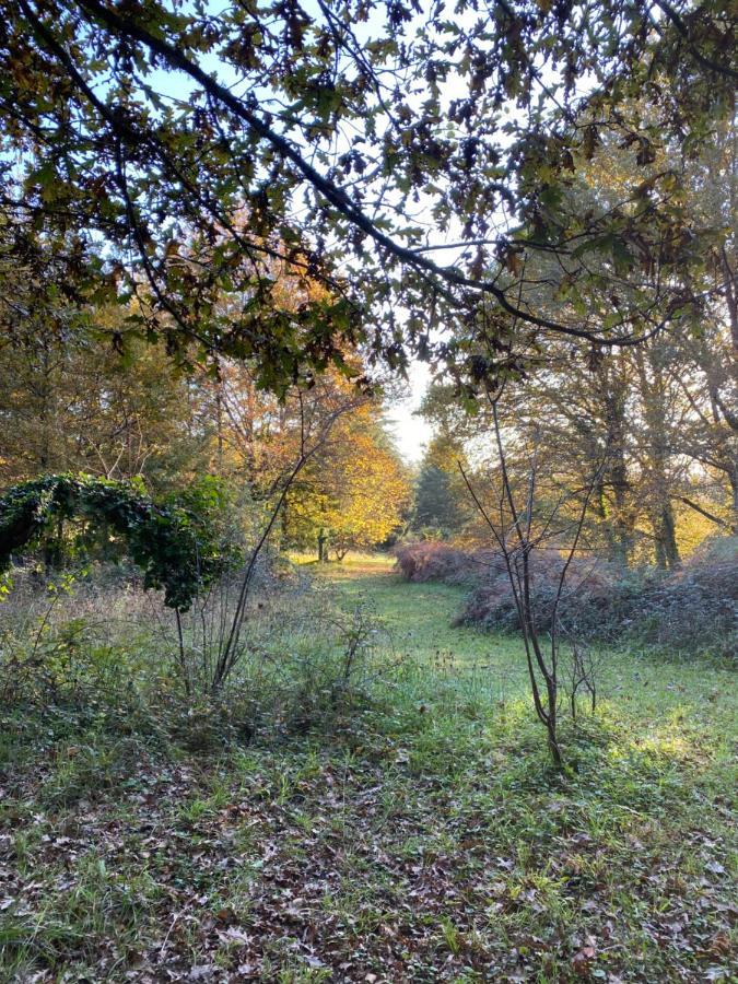 Domaine Le Manoir, Gites De Charme Et De Caractere Avec Piscines Privatisees Et Spa Nordique Fossemagne Buitenkant foto