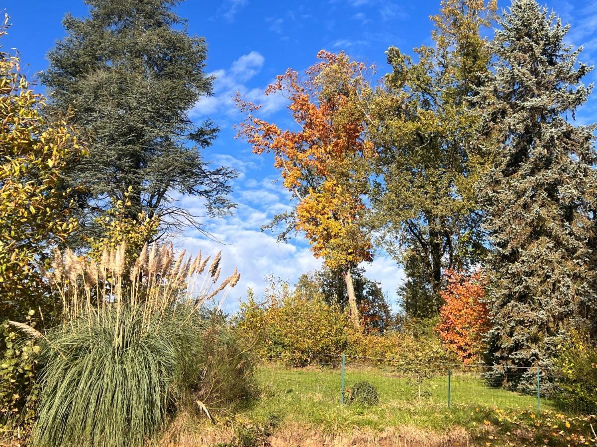 Domaine Le Manoir, Gites De Charme Et De Caractere Avec Piscines Privatisees Et Spa Nordique Fossemagne Buitenkant foto